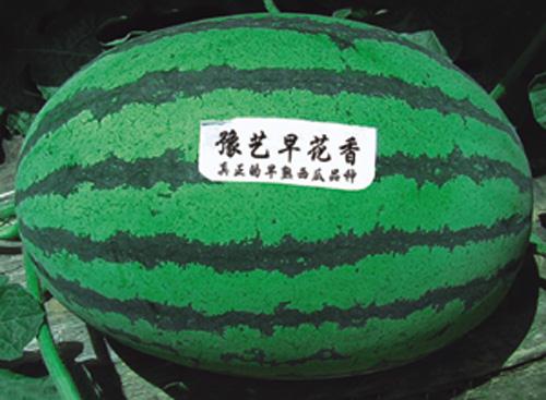 1de70576c5772d33b5c15d279c9f34b3.jpg 1de70576c5772d33b5c15d279c9f34b3.jpg