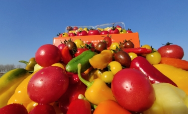 哲思 | ?認知的四個層次，讀懂改變一生