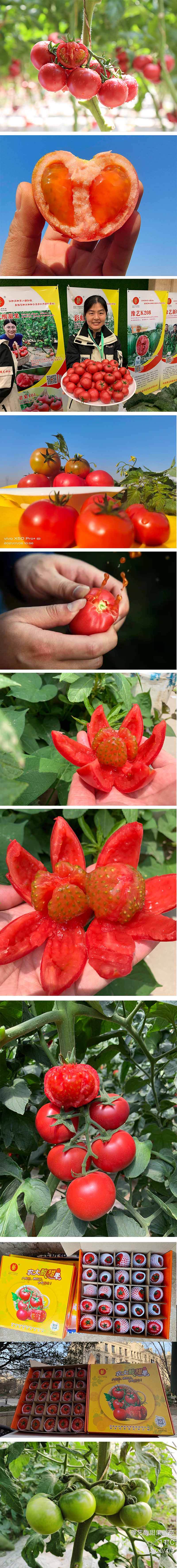 xiangqing.jpg xiangqing.jpg