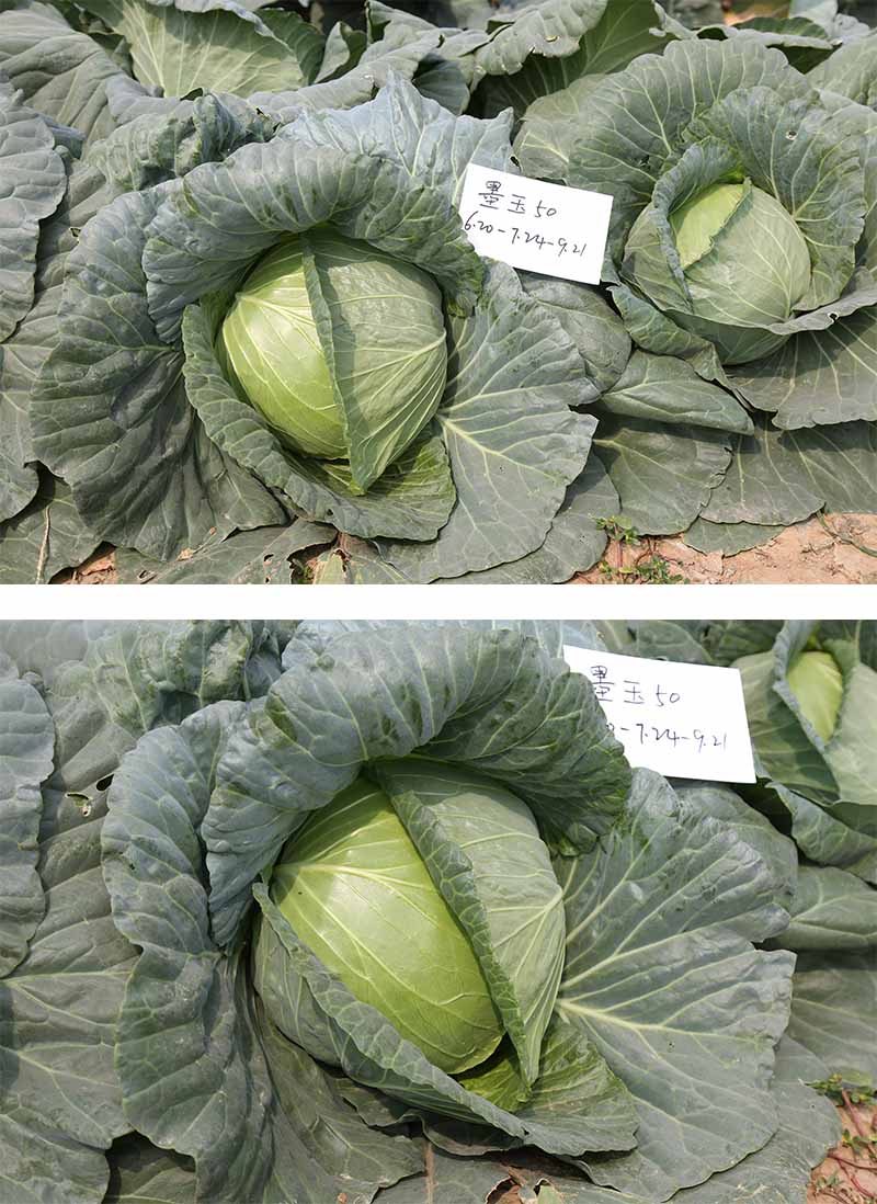 xingqing.jpg xingqing.jpg