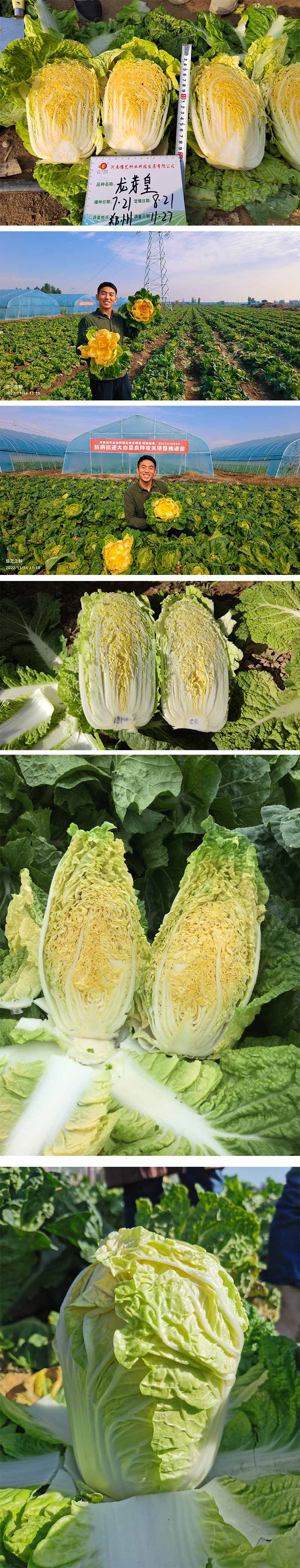 xiangqing.jpg xiangqing.jpg