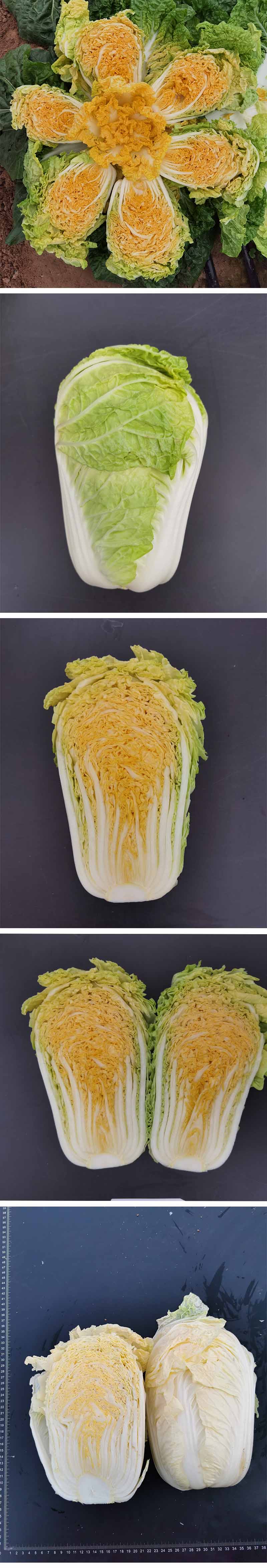 xiangqing.jpg xiangqing.jpg