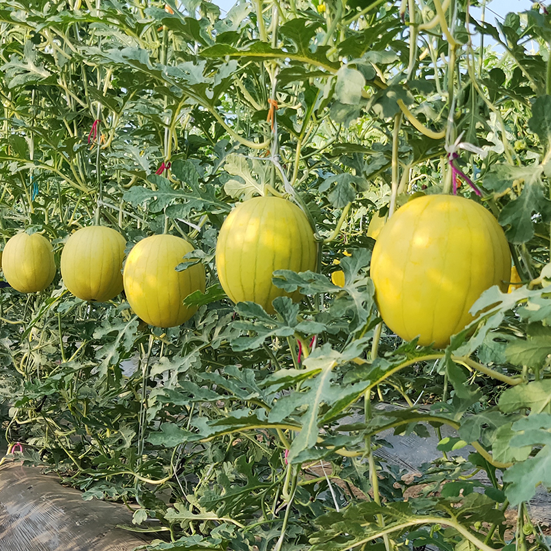 230425222717665875.jpg 230425222717665875.jpg