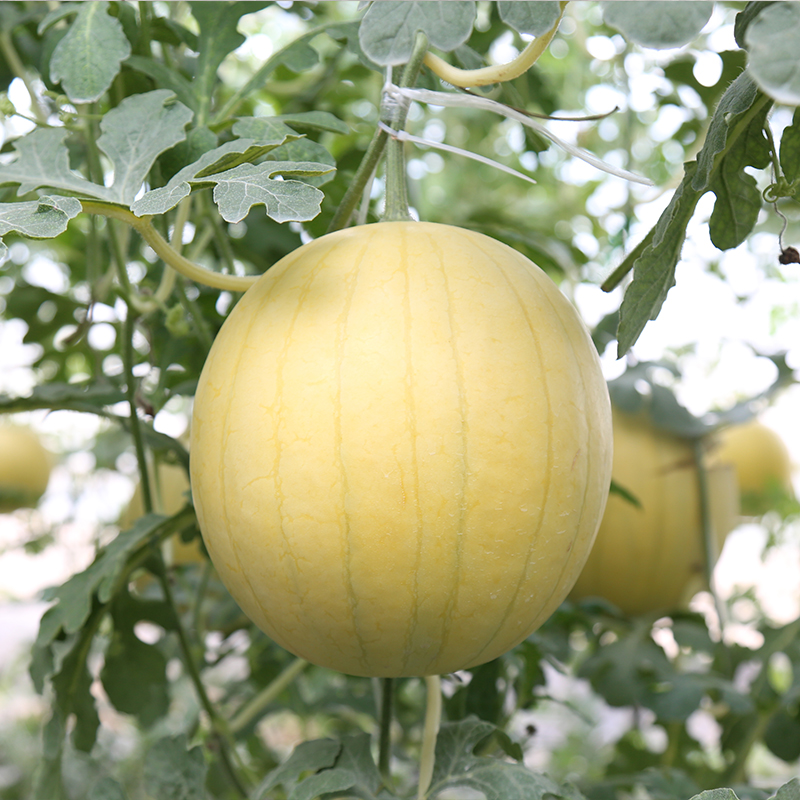 230425222717dcebd5.jpg 230425222717dcebd5.jpg