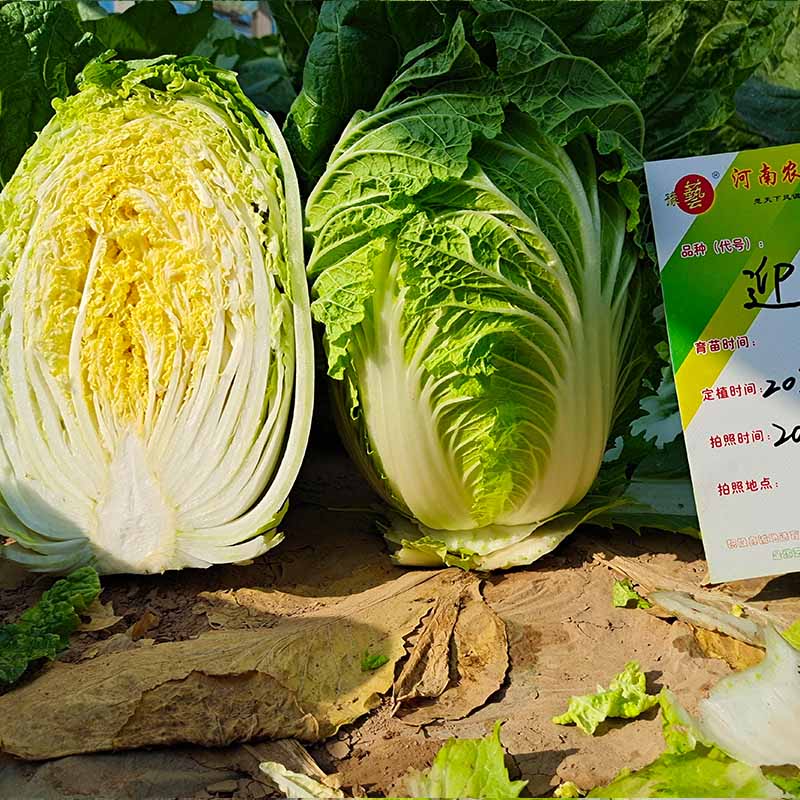 230505141856b93f50.jpg 230505141856b93f50.jpg