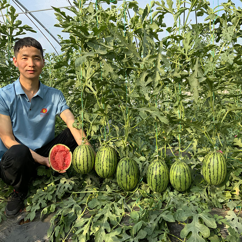 2304252222459369c7.jpg 2304252222459369c7.jpg