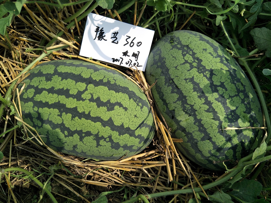 IMG20170702150326.jpg IMG20170702150326.jpg