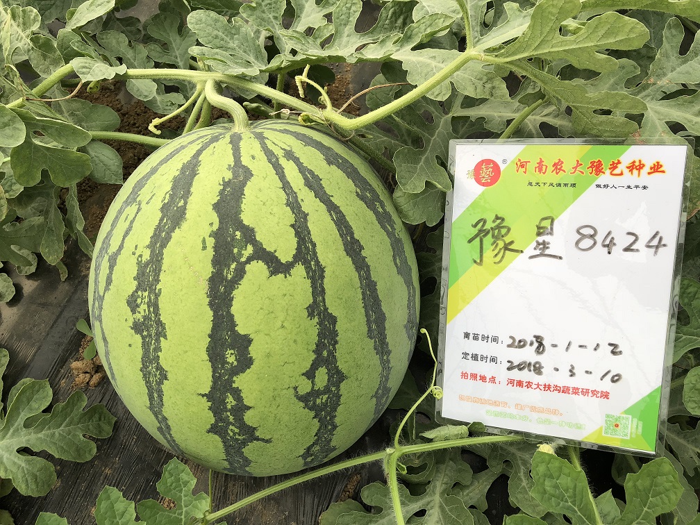 微信圖片_20180812214508.jpg 微信圖片_20180812214508.jpg